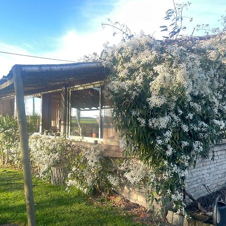 Le P'Tit Nid De Gabriel Bed and Breakfast Les Touches-de-Périgny Εξωτερικό φωτογραφία